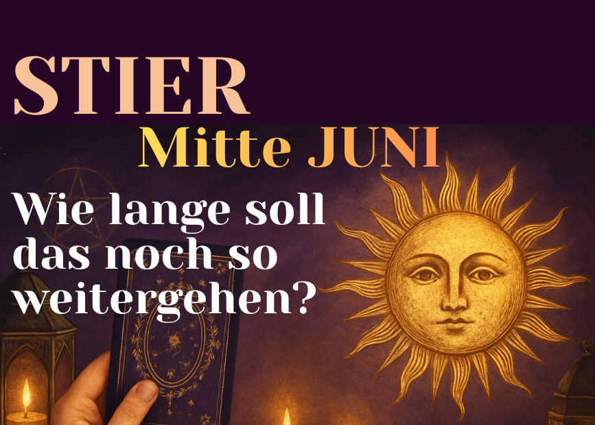Stier Mitte Juni