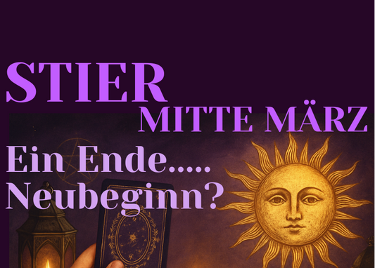 Stier Mitte März
