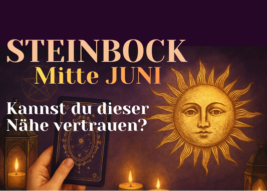 Steinbock Mitte Juni