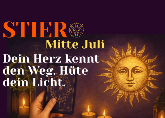 Stier Mitte Juli