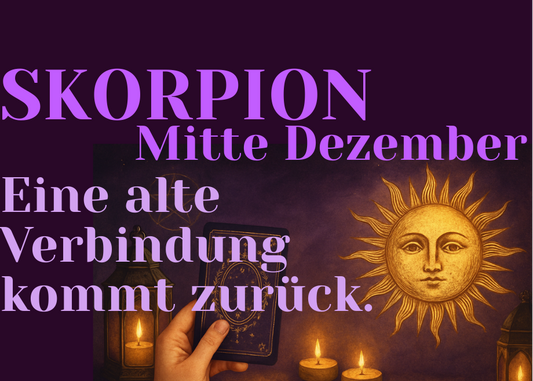 Skorpion Mitte Dezember