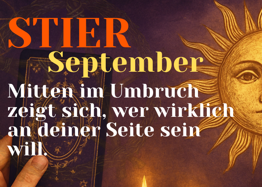 Stier September 2026