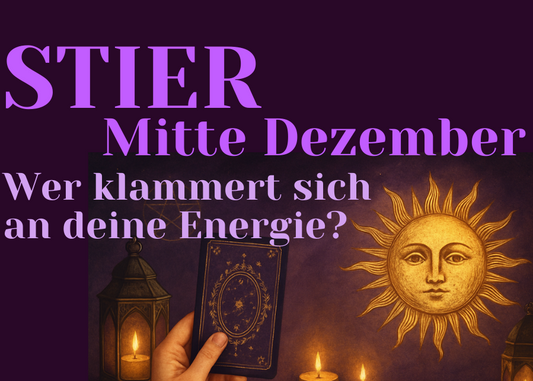 Stier Mitte Dezember