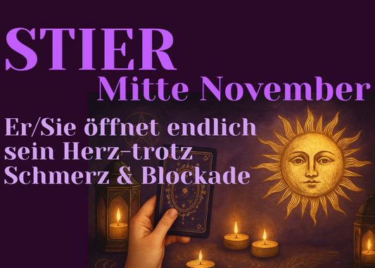 Stier Mitte November
