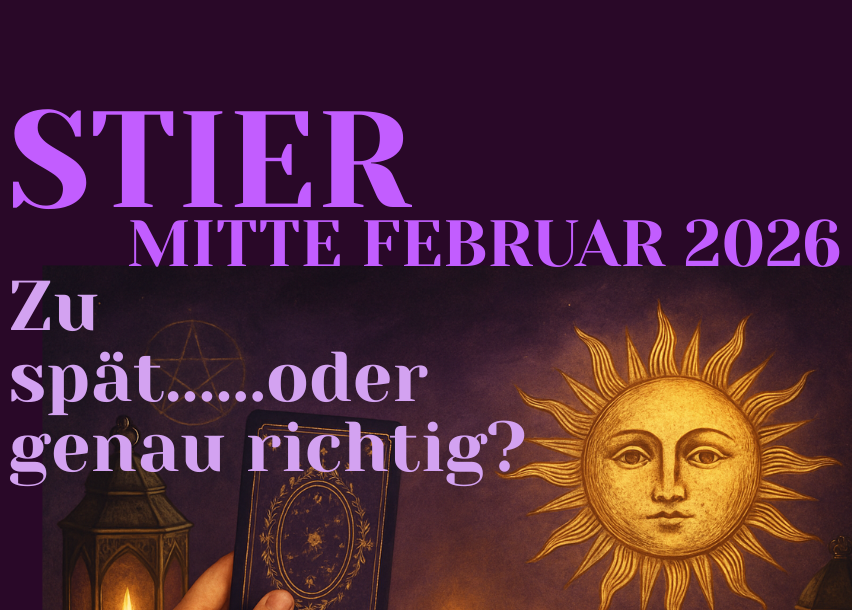 Stier Mitte Februar