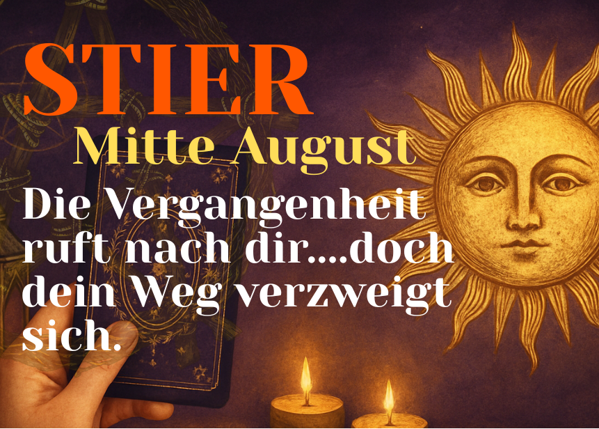 Stier Mitte August