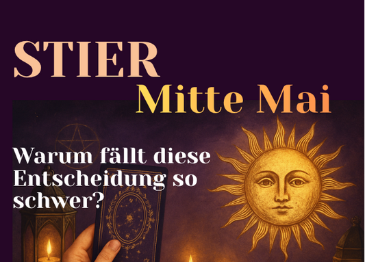 Stier Mitte Mai