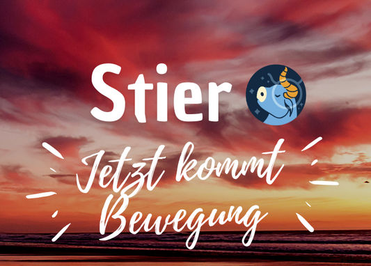 Stier 11.-17. Mai Wochenbotschaft
